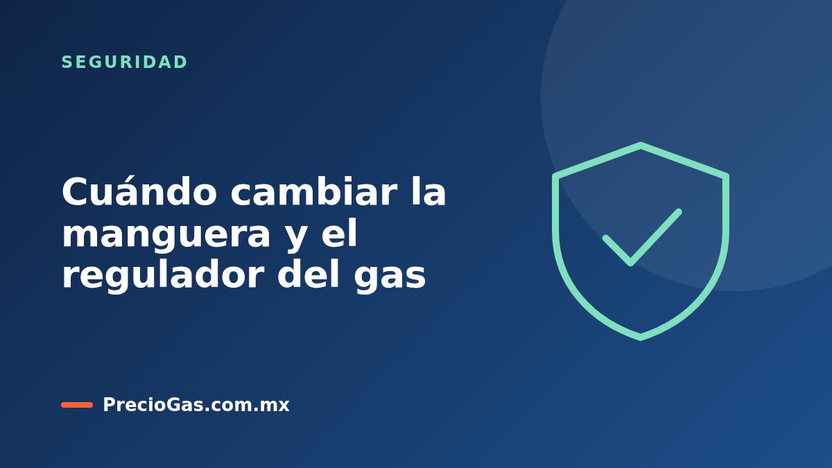 Cuándo cambiar la manguera y el regulador del gas